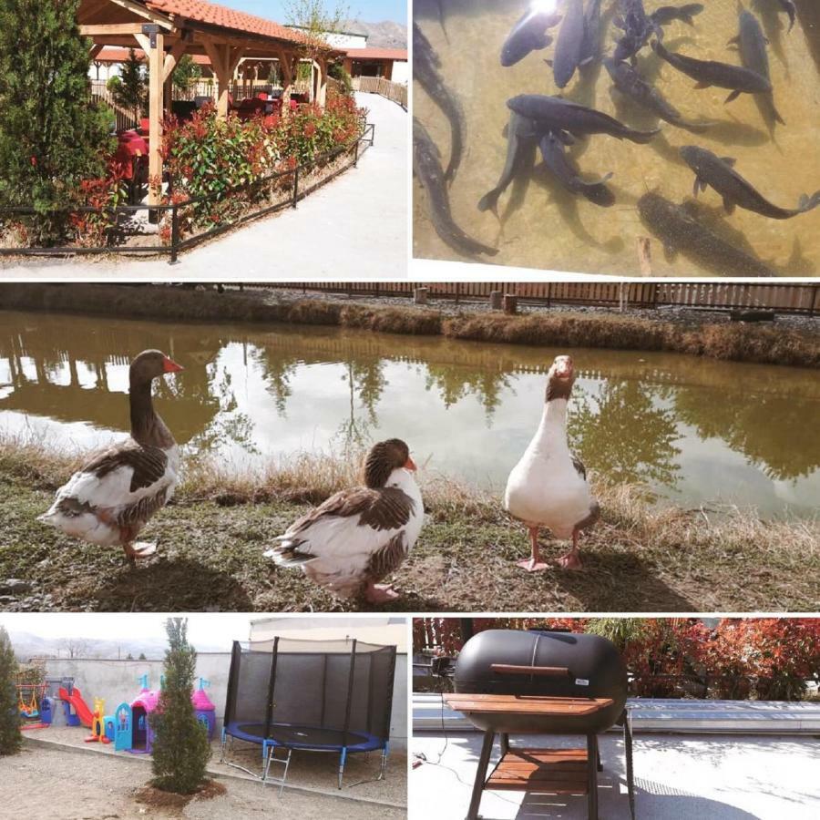 Hotel&Spamontenegro Rivijera Veles Exterior foto